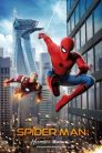 Imagen Spider-Man De Regreso a Casa Película Completa HD 1080p [MEGA] [LATINO] 2017